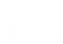 T.E.E